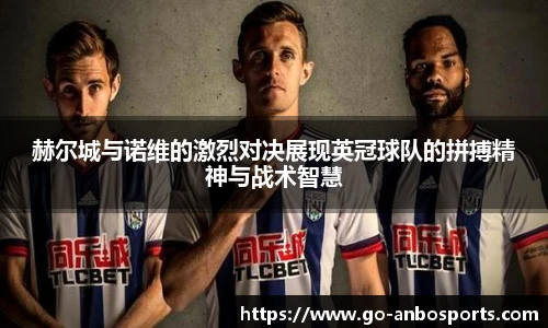 赫尔城与诺维的激烈对决展现英冠球队的拼搏精神与战术智慧